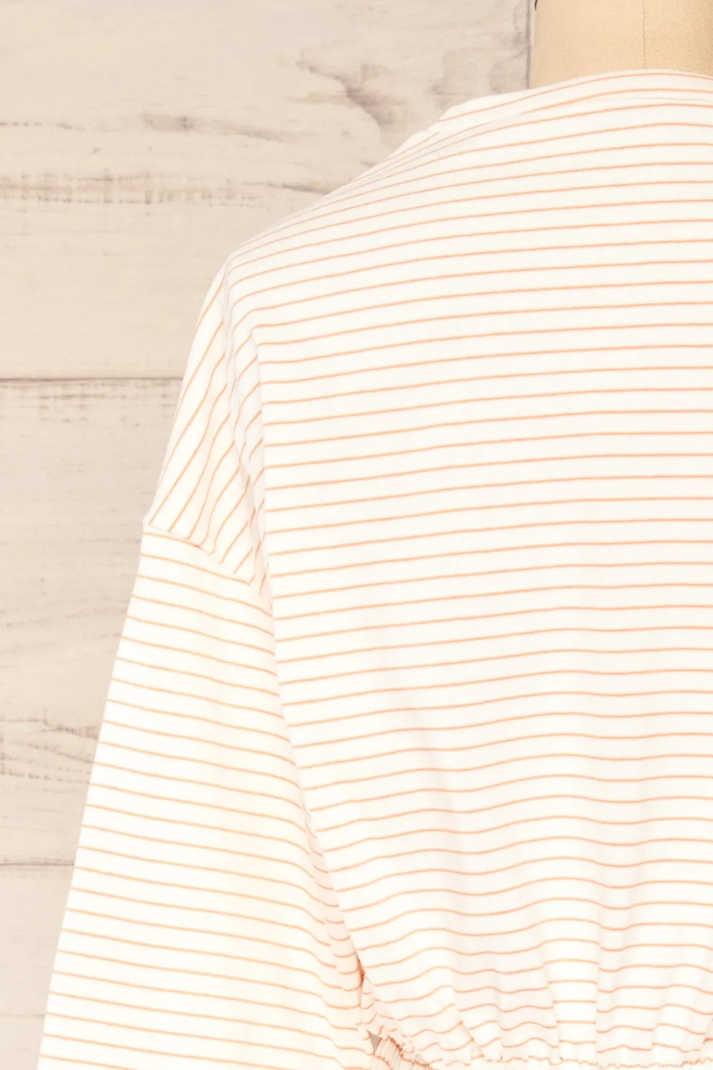 Cruise Crewneck | Striped Cropped Top