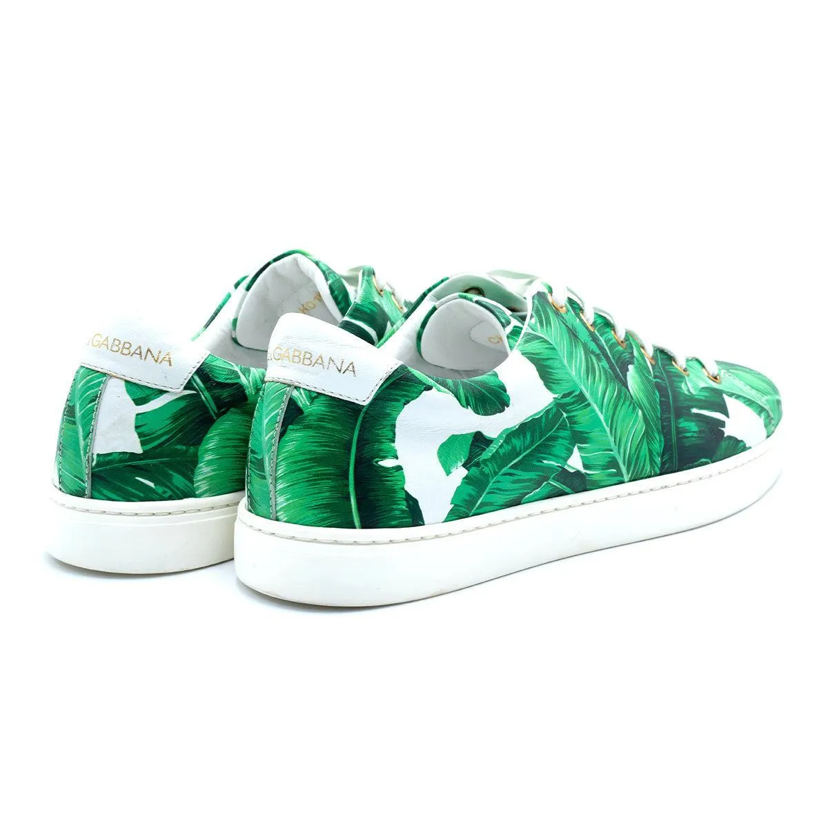 Dolce & Gabbana Low-Top Sneakers Leather Green Colour For Women