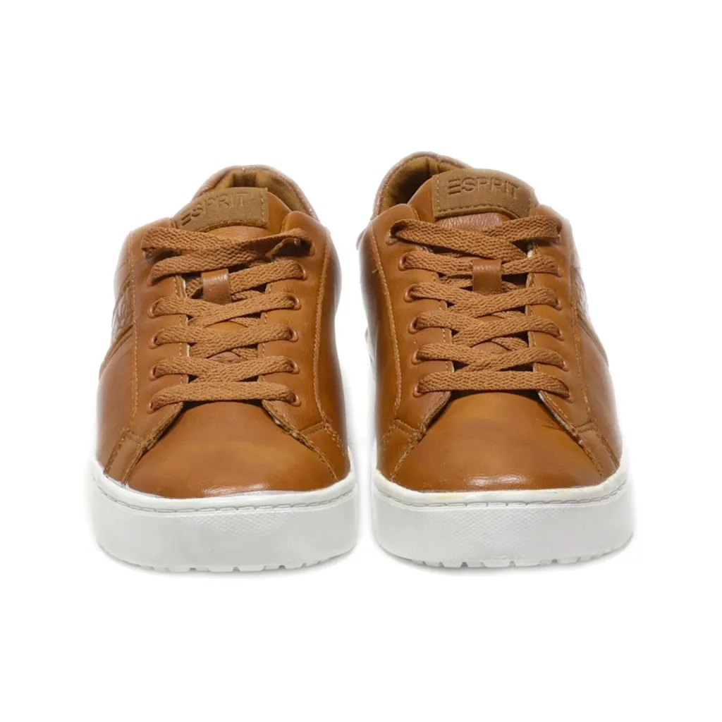 Esprit Trainers & Sneakers Leather Brown Colour For Women