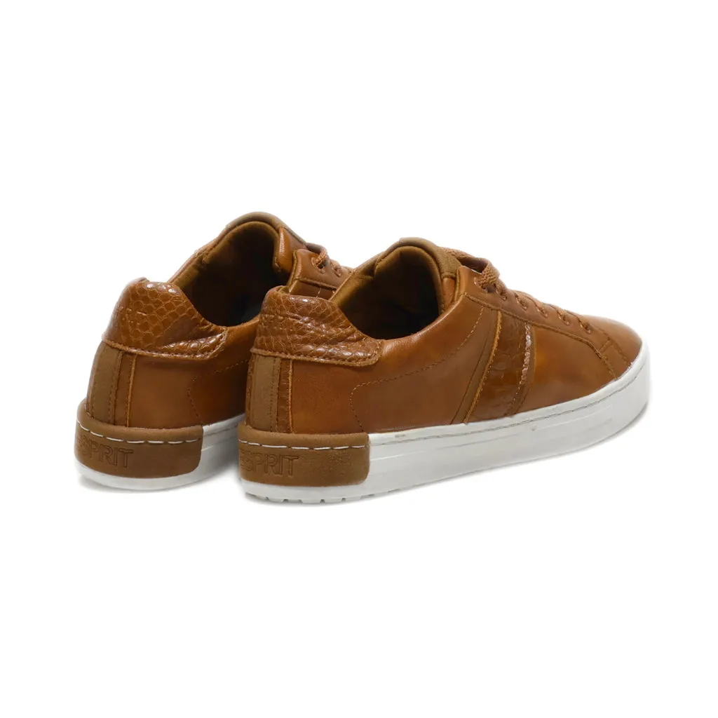 Esprit Trainers & Sneakers Leather Brown Colour For Women