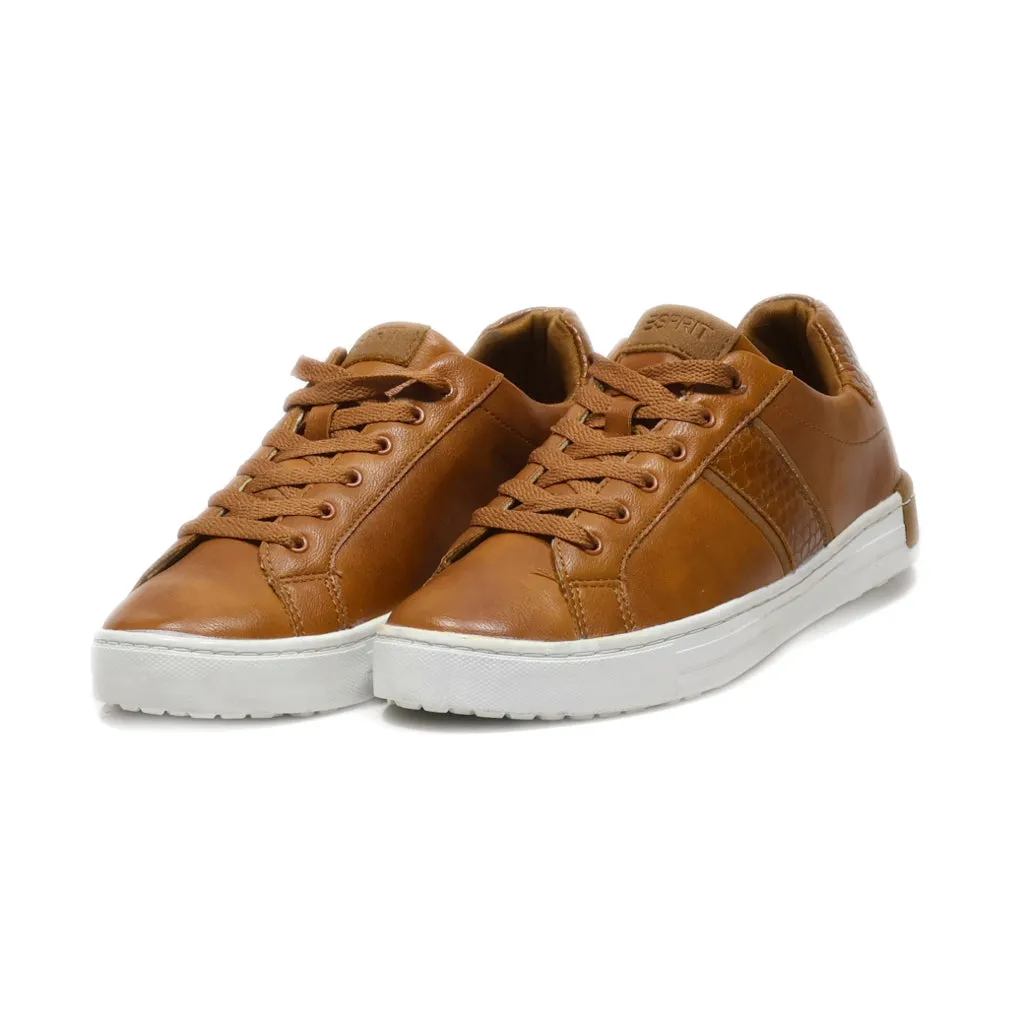 Esprit Trainers & Sneakers Leather Brown Colour For Women