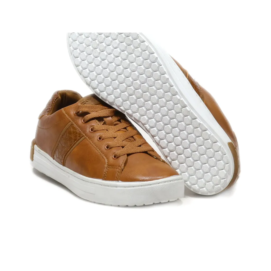 Esprit Trainers & Sneakers Leather Brown Colour For Women