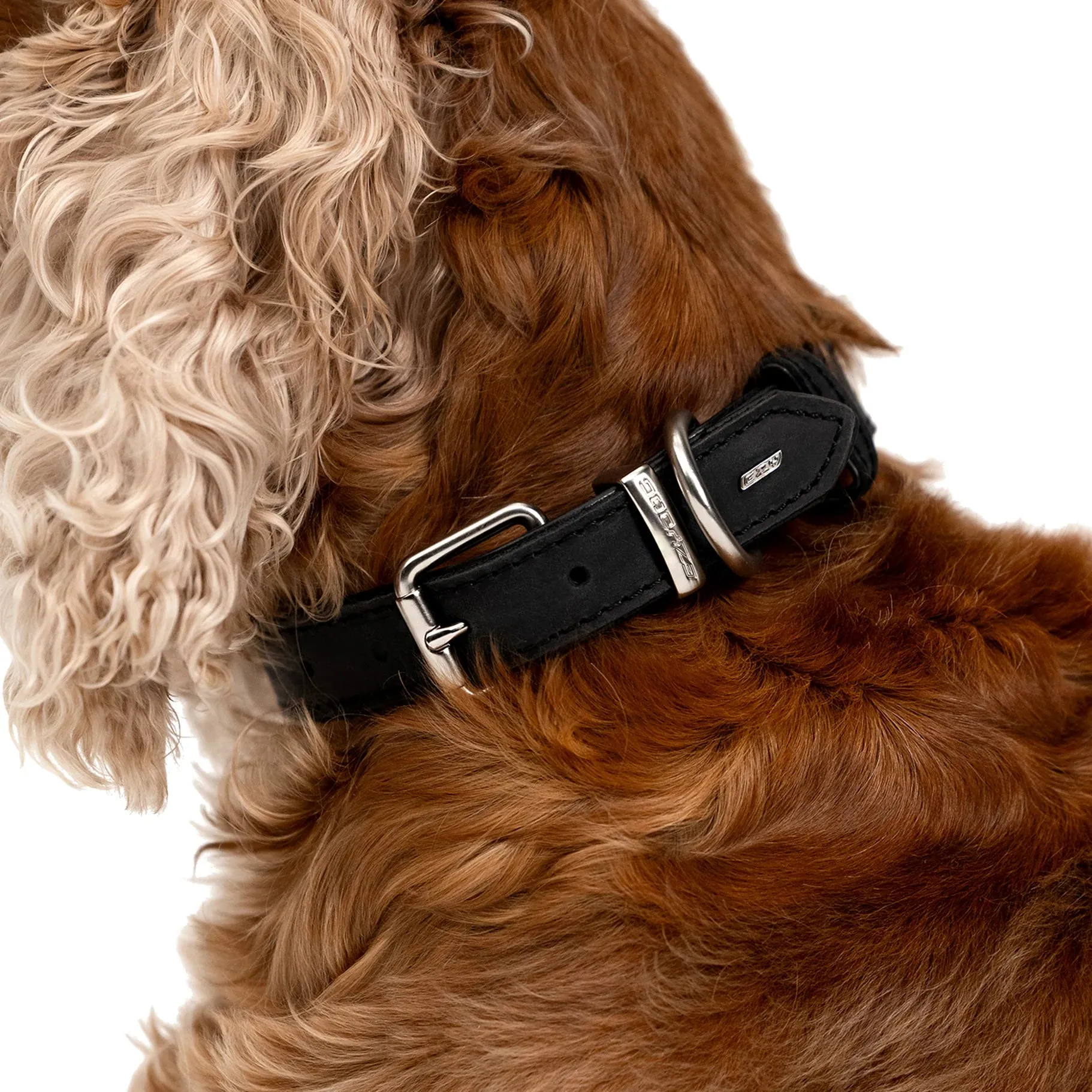 EzyDog Oxford Leather Dog Collar Blonde and Lilac Small