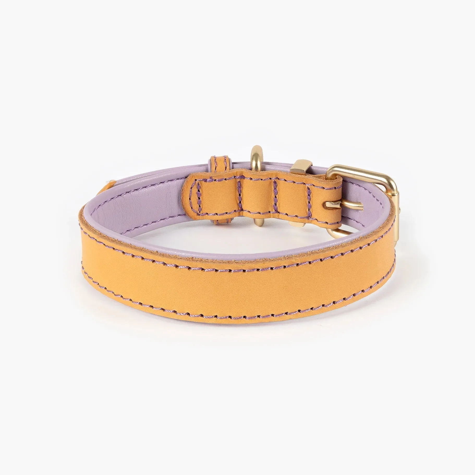 EzyDog Oxford Leather Dog Collar Blonde and Lilac Small