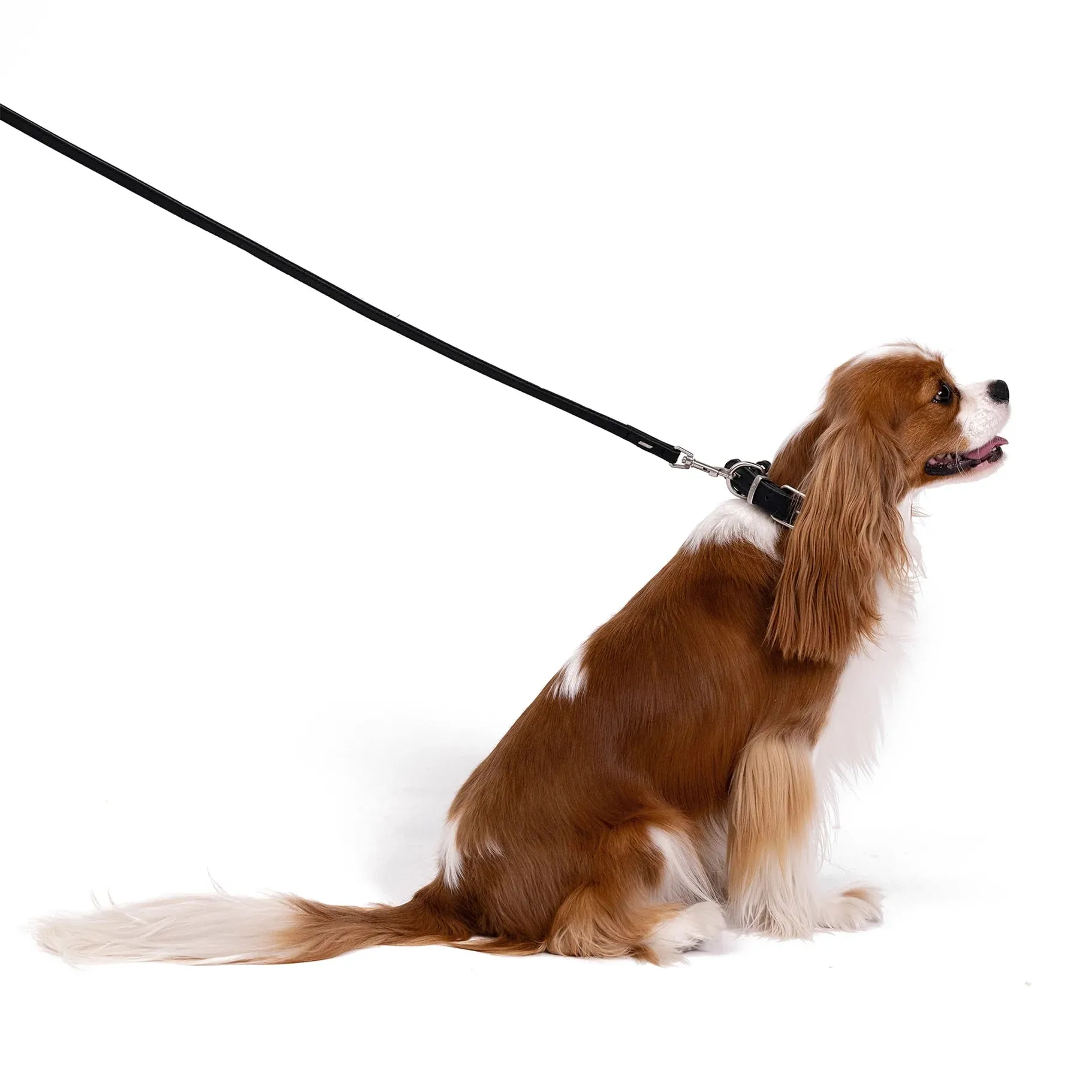 EzyDog Oxford Leather Dog Lead Blonde and Lilac Lite 48inch