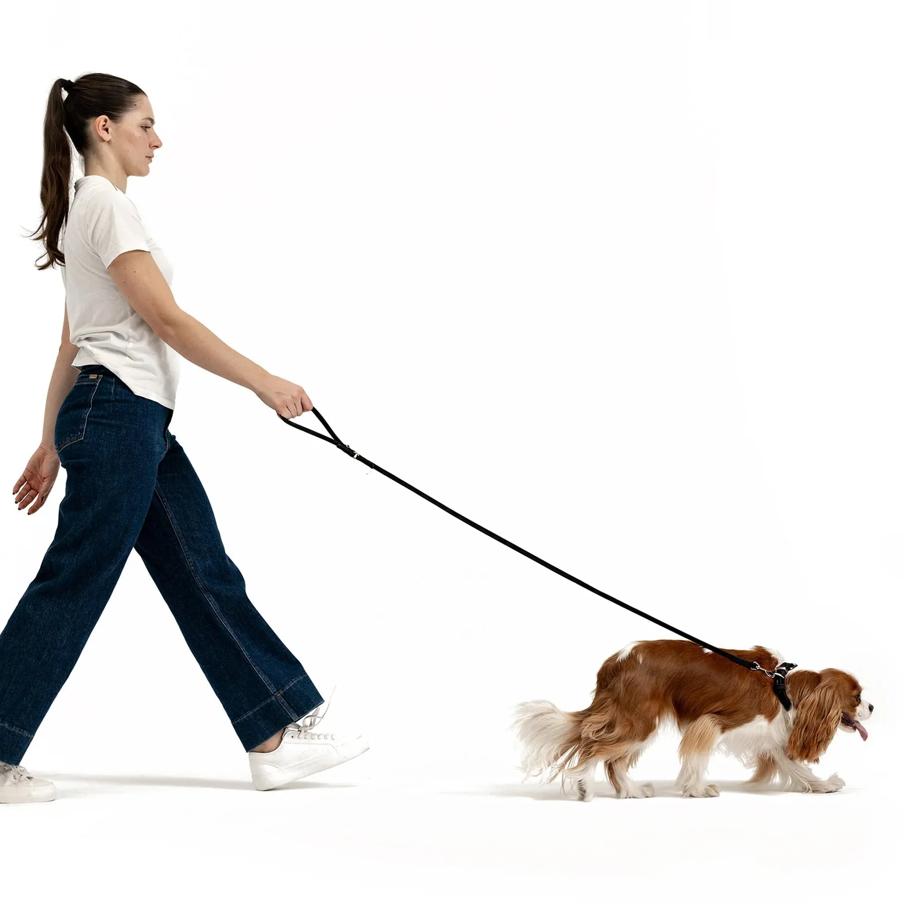 EzyDog Oxford Leather Dog Lead Blonde and Lilac Lite 48inch
