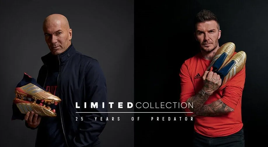 Predator 19  Firm Ground Beckham Boots
