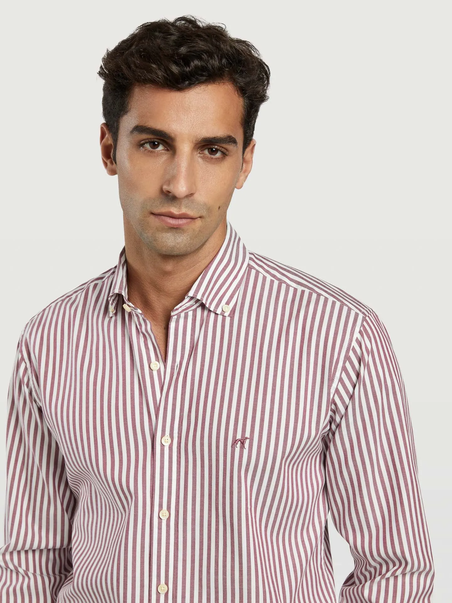 Slim fit 100I cotton striped oxford shirt