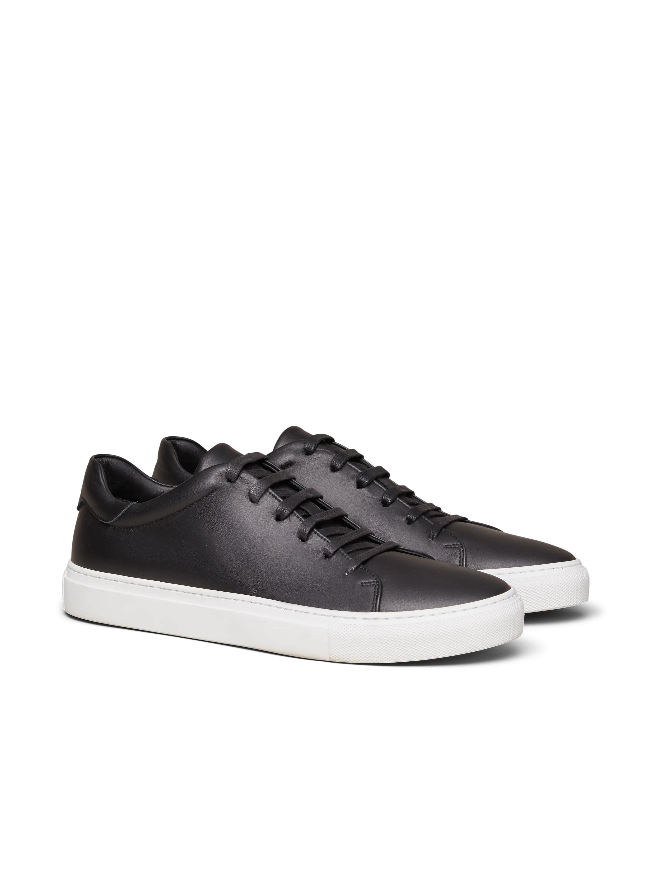 The Lucente (Sample Sale)