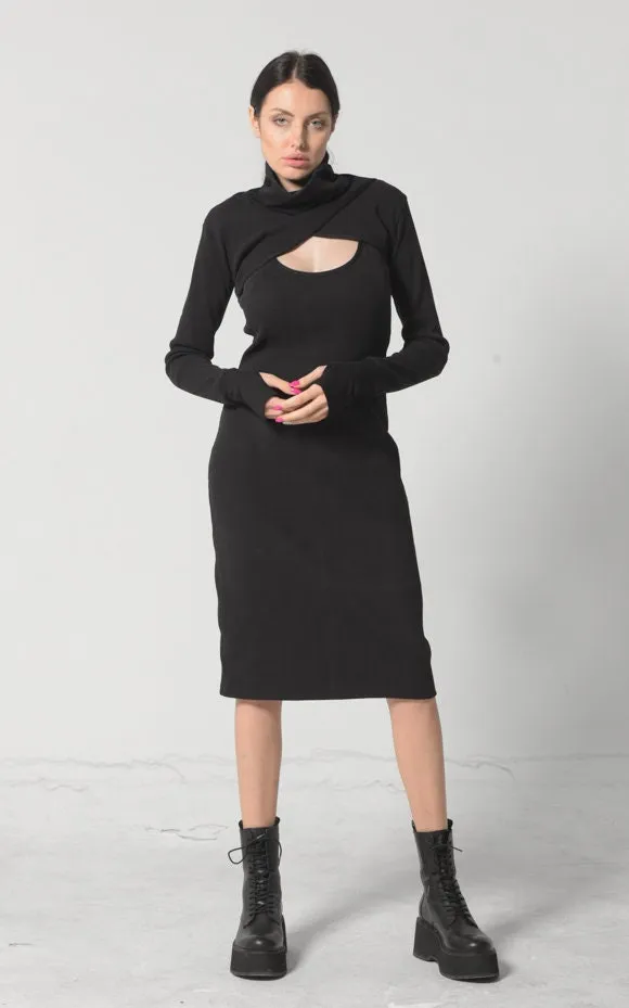 Turtle Neck Dress