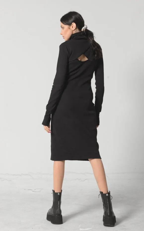 Turtle Neck Dress