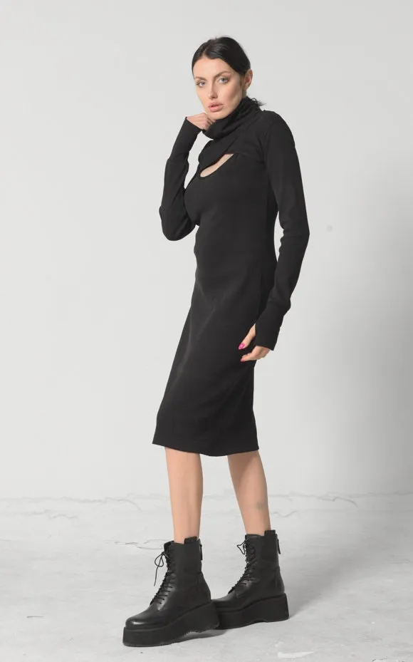 Turtle Neck Dress