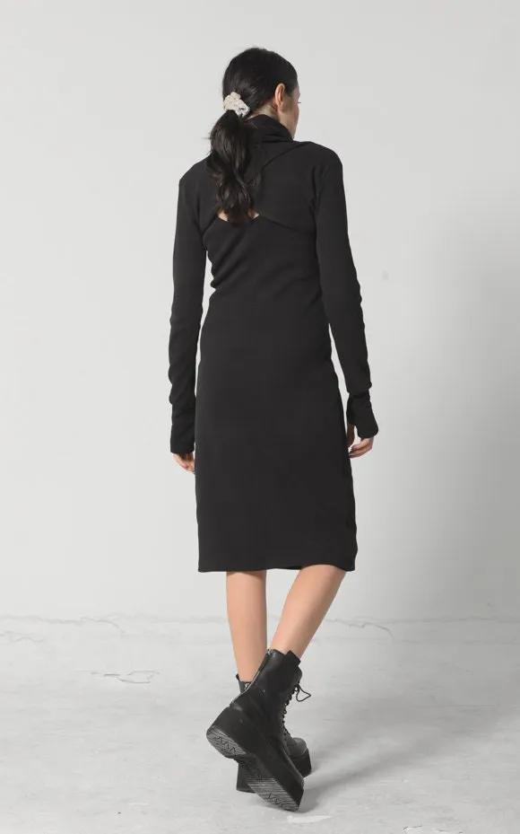 Turtle Neck Dress