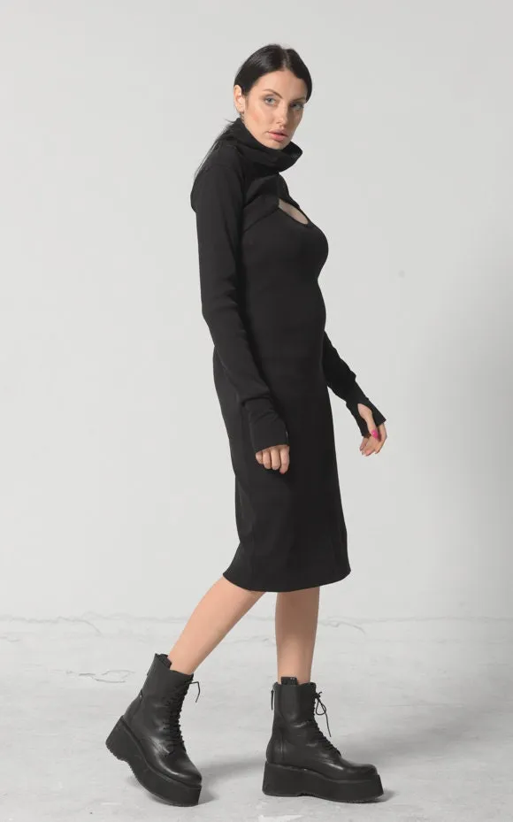 Turtle Neck Dress