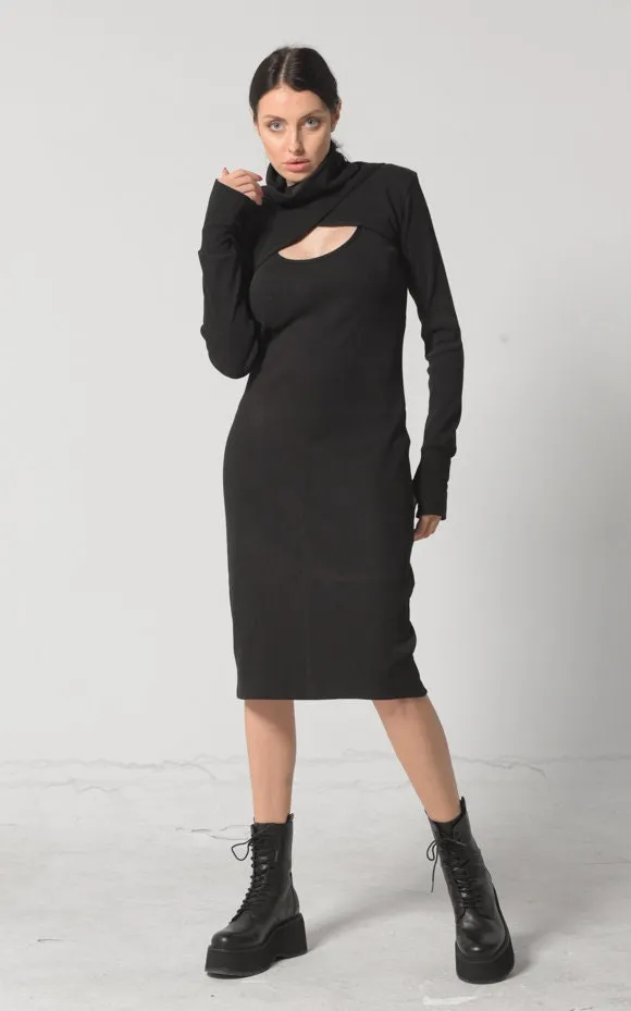 Turtle Neck Dress